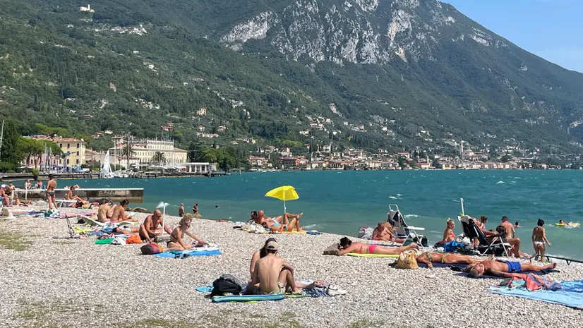 Le analisi, da inizio stagione, vengono ripetute due volte al mese
