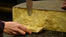 Il Bagòss, fiore all’occhiello della tradizione