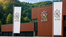 Silmar Group, La holding della famiglia Niboli chiude il 2025 in utile
