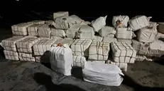 Il carico di droga sequestrato
