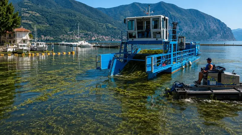 Il battello spazzino in azione sul lago d'Iseo