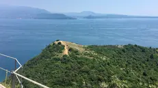 La Riserva naturale della Rocca di Manerba