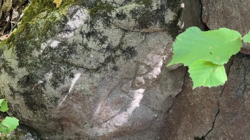 I resti del castelliere a 1.208 metri di altitudine