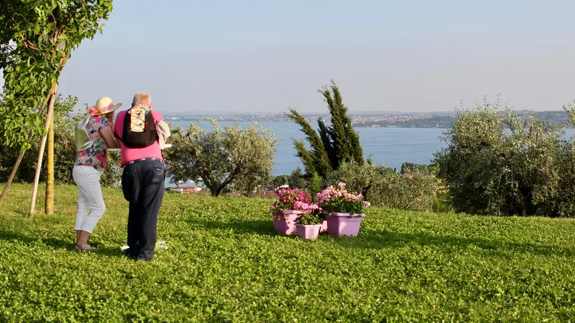 Dove fare picnic sul lago di Garda