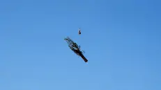 Uno dei cipressi in volo