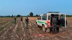 Varano, le perlustrazioni della Provinciale