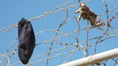 Alcuni indumenti lasciati dagli immigrati arrivati a Ceuta - Foto Ansa / Laureano Valladolid/ Pal