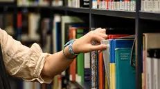 Libri sugli scaffali