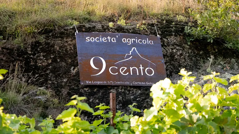 La società agricola 9cento