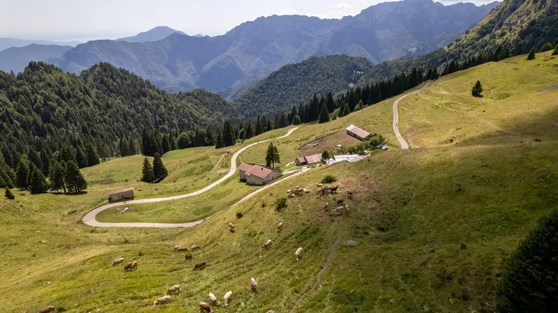 La struttura Malga Ciapa