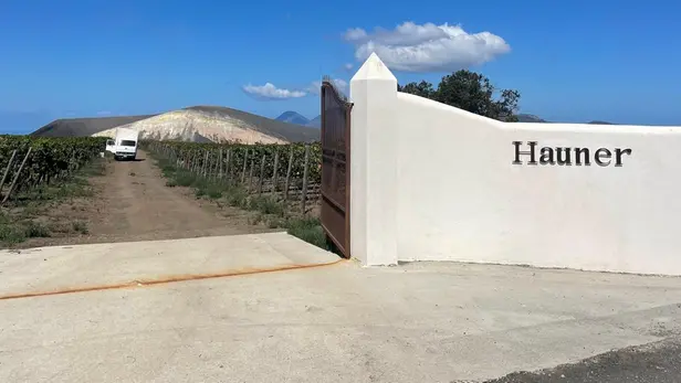 Le vigne e la cantina della Hauner di Salina