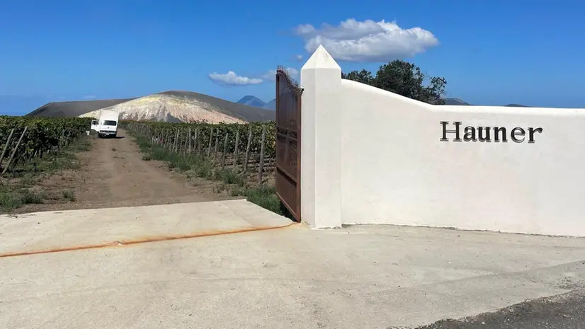 Le vigne e la cantina della Hauner di Salina