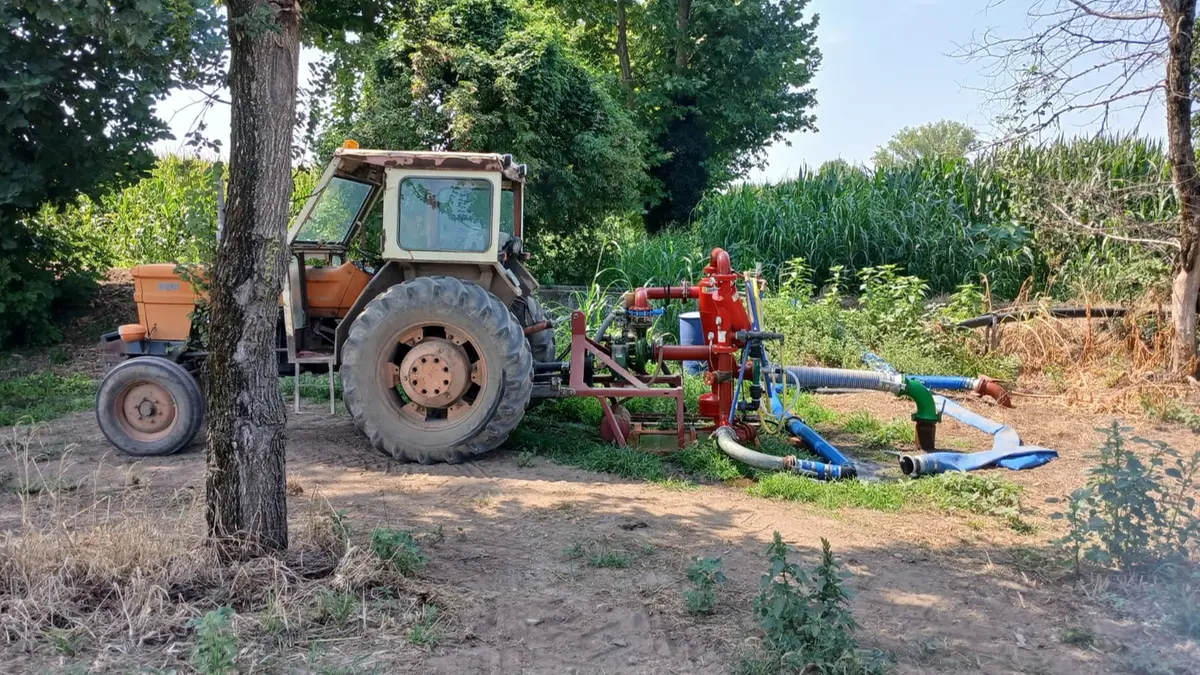 Goccia a goccia, la pompa per l’irrigazione dei pomidoro