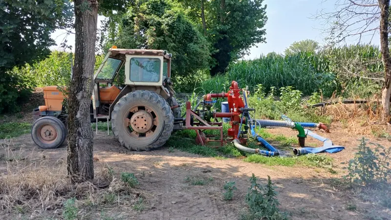 Goccia a goccia, la pompa per l’irrigazione dei pomidoro