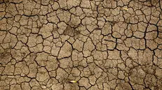 Ondate di caldo e siccità sono uno degli effetti del cambiamento climatico