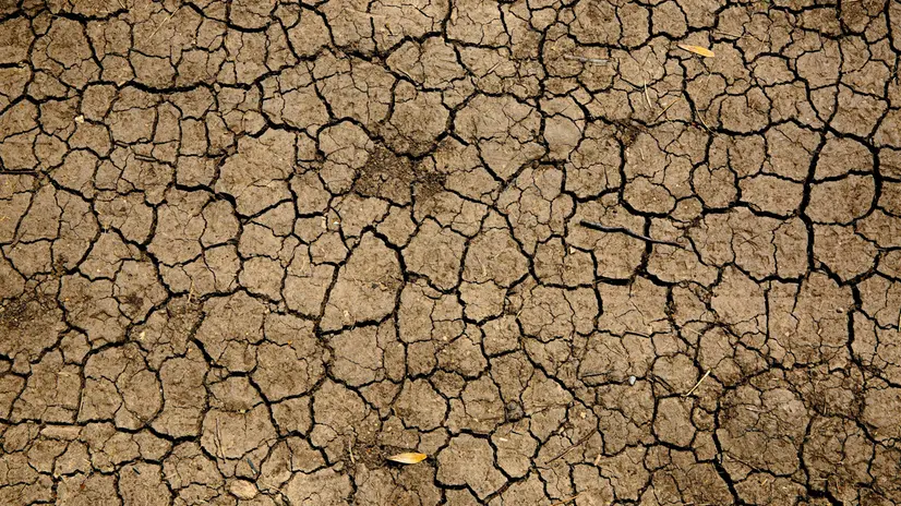 Ondate di caldo e siccità sono uno degli effetti del cambiamento climatico