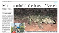 La storia del varano sul Times