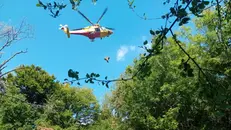Santa Maria del Giogo, ciclista muore cadendo in un dirupo
