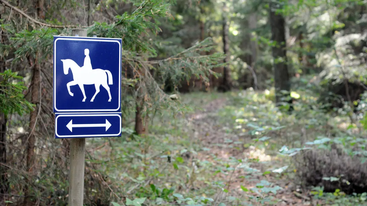 Il sentiero è percorribile a cavallo e a piedi