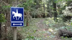 Il sentiero è percorribile a cavallo e a piedi