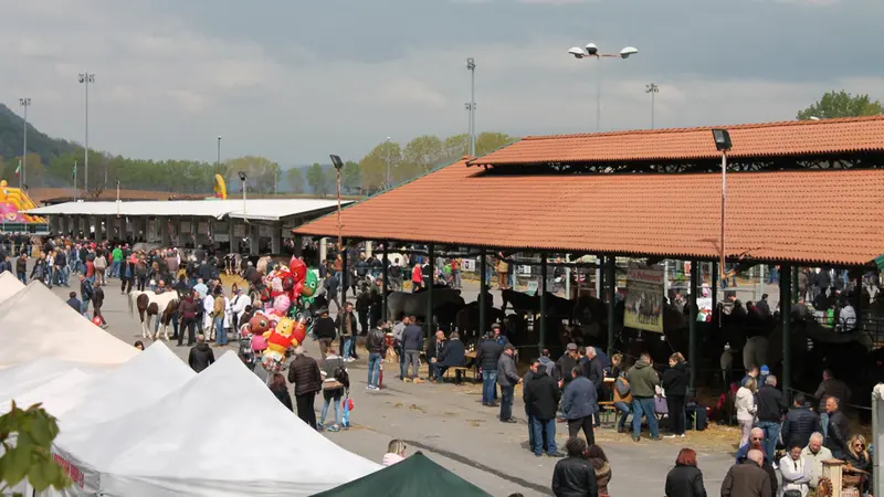 L'area mercatale di Rovato