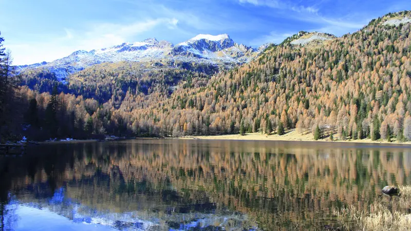 Il Parco dell'Adamello