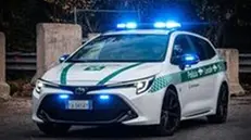 L'uomo è stato fermato da un agente di Polizia fuori servizio