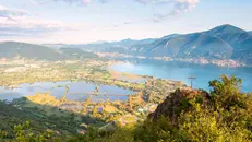 Riserva delle Torbiere