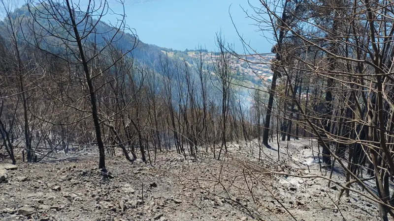 Tignale, il conto dell'incendio supera i 2,5 milioni: è il costo per la collettività