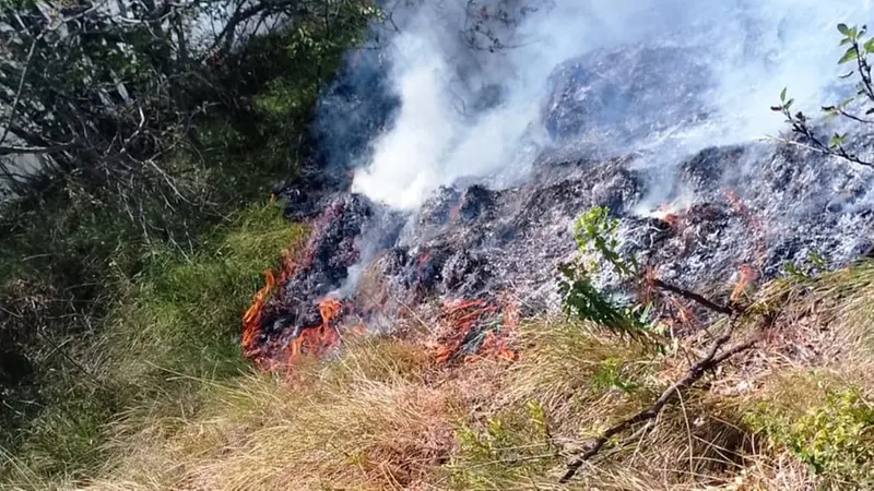 L'incendio fra Treviso Bresciano e Degagna di Vobarno - © www.giornaledibrescia.it