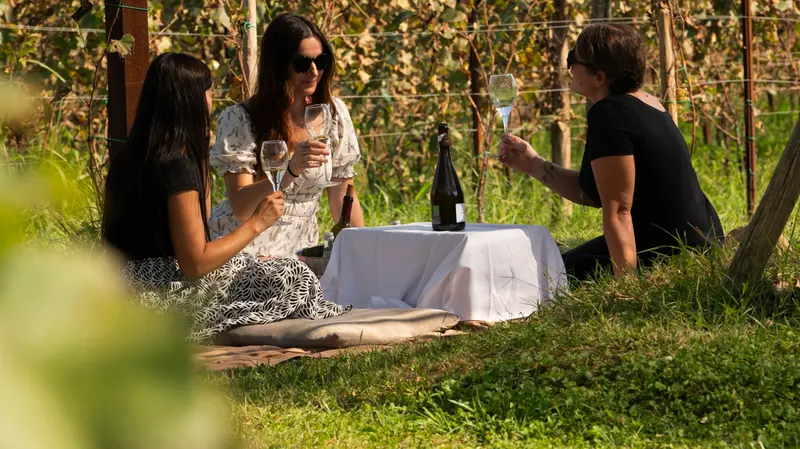 Per il Festival del Franciacorta tra degustazioni, masterclass e itinerari  © www.giornaledibrescia.it