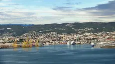 Il porto di Trieste, che in Italia primeggia con Genova