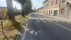 Viale Isonzo