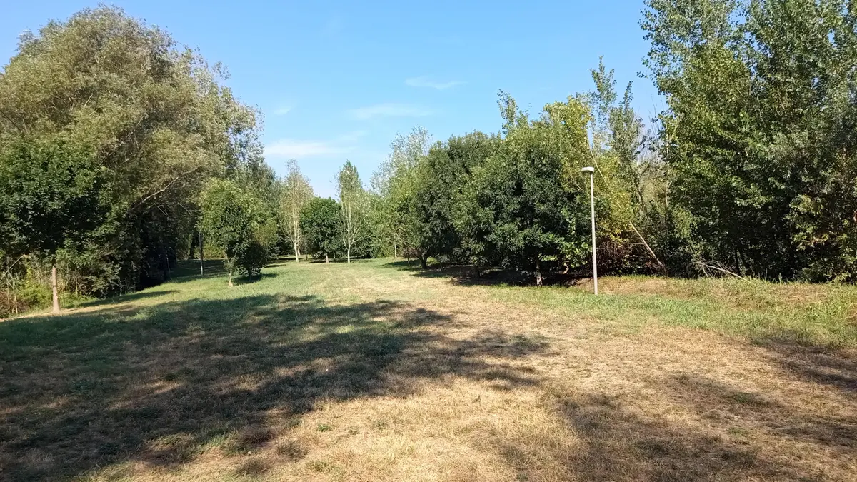 L'area in cui sorgerà la scuola