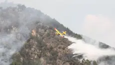Nei giorni scorsi moltissimi incendi hanno colpito la nostra provincia