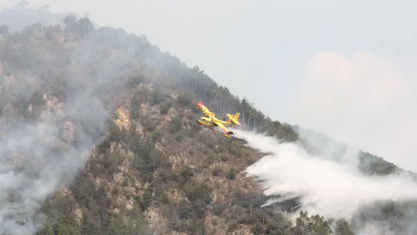 Nei giorni scorsi moltissimi incendi hanno colpito la nostra provincia