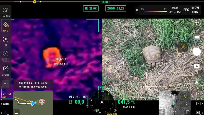 La rilevazione termica della tartaruga con un drone