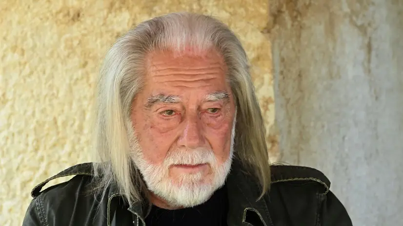 Fabrizio Plessi - © www.giornaledibrescia.it