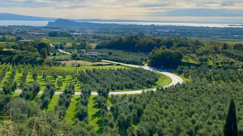 Le aree boschive sono costantemente vigilate, soprattutto d'estate