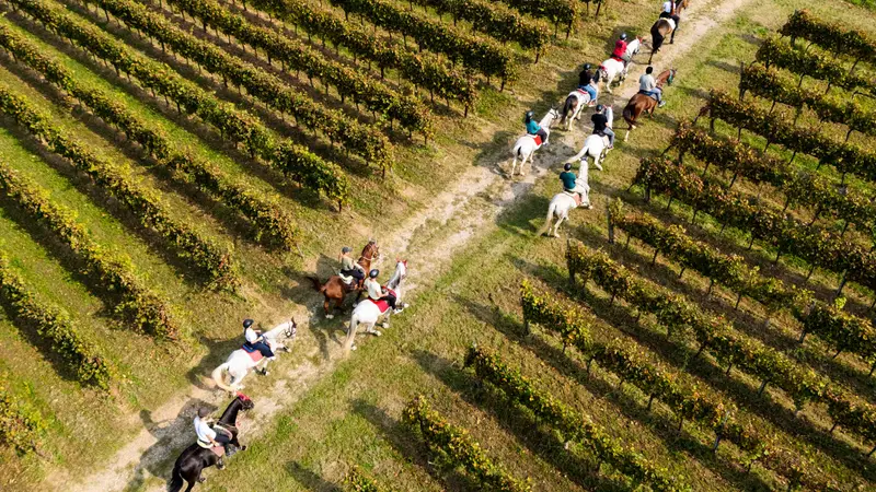 A cavallo in Franciacorta