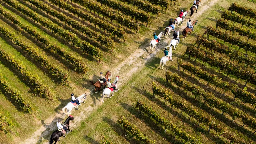 A cavallo in Franciacorta