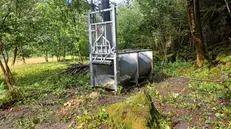 La trap tube installata in Valle di Saviore