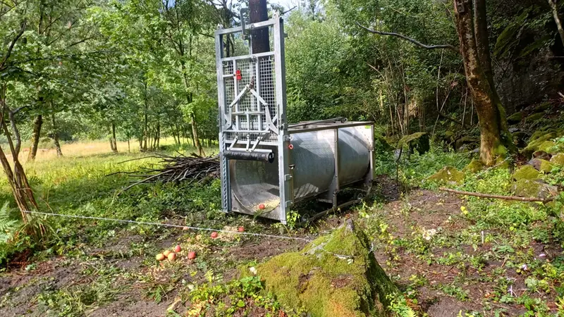 La trap tube installata in Valle di Saviore