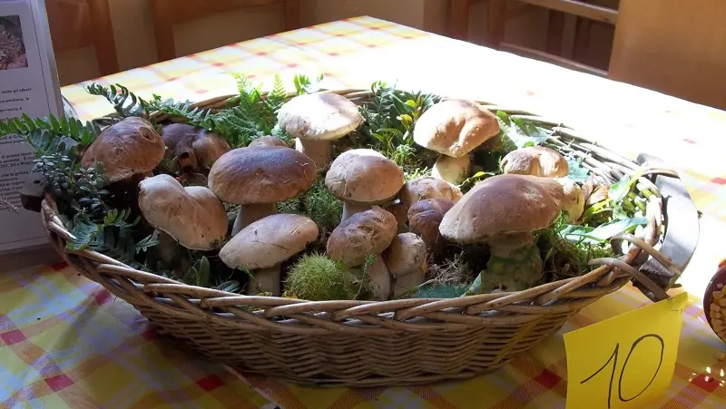La sagra in programma dal 25 al 27 settembre