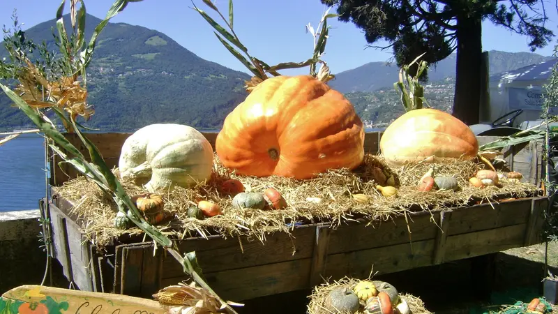 La sfida in programma domenica 13 settembre