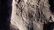 Incisioni e rilievo di tartaruga su roccia a Whadi Bani Kharous in Oman