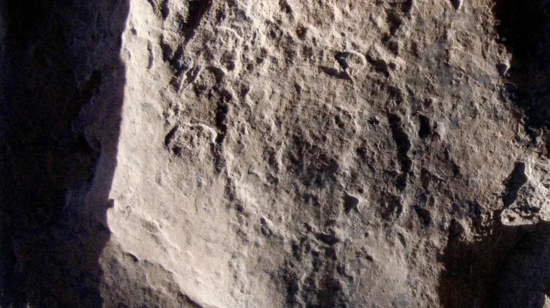 Incisioni e rilievo di tartaruga su roccia a Whadi Bani Kharous in Oman