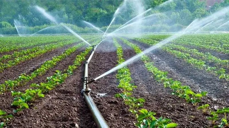 Il convegno «Ogni goccia conta» ha messo al centro l'importanza dell'acqua