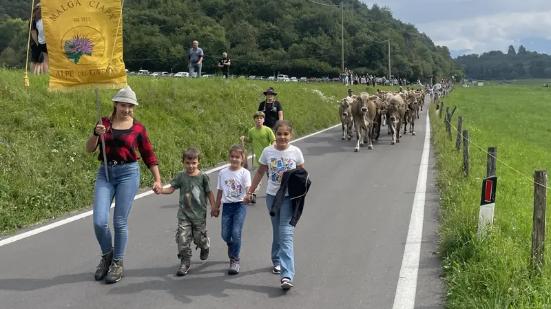 La mandria sarà accompagnata da famiglie e appassionati per 20 chilometri