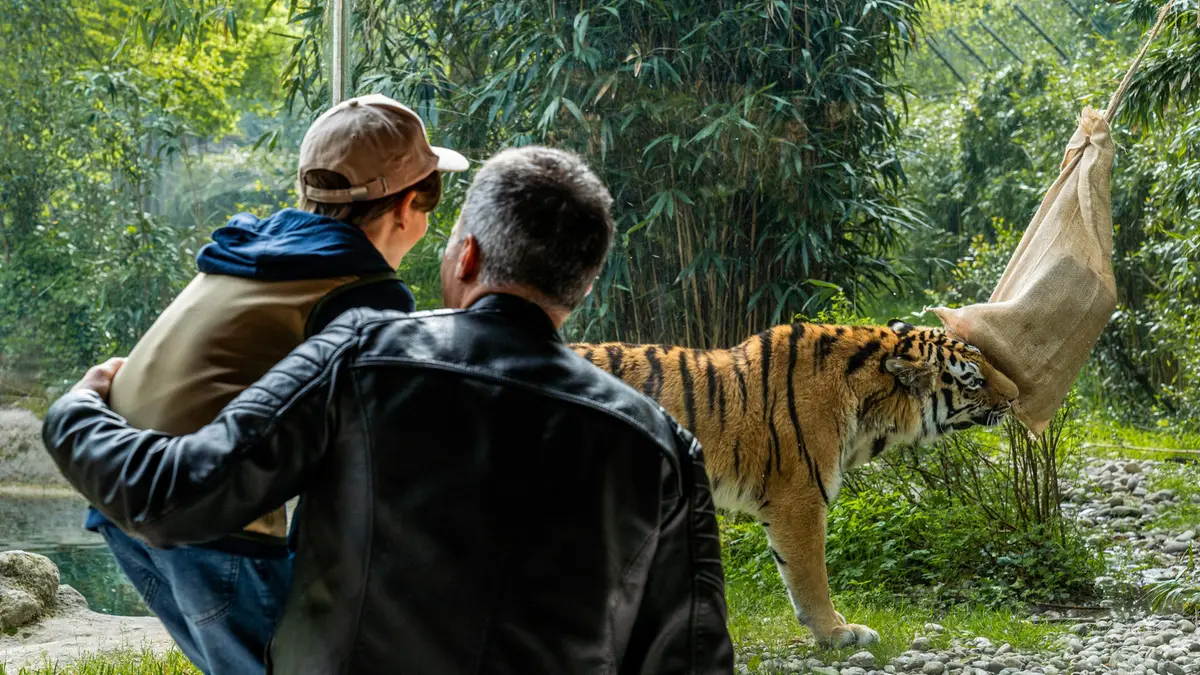 Non solo animali da vedere ma anche progetti di studio e difesa